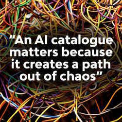 “An AI catalogue matters because it creates a path out of chaos”